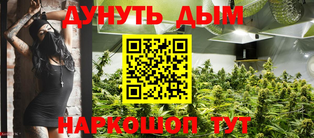 Бошки Шишки семена Переславль-Залесский